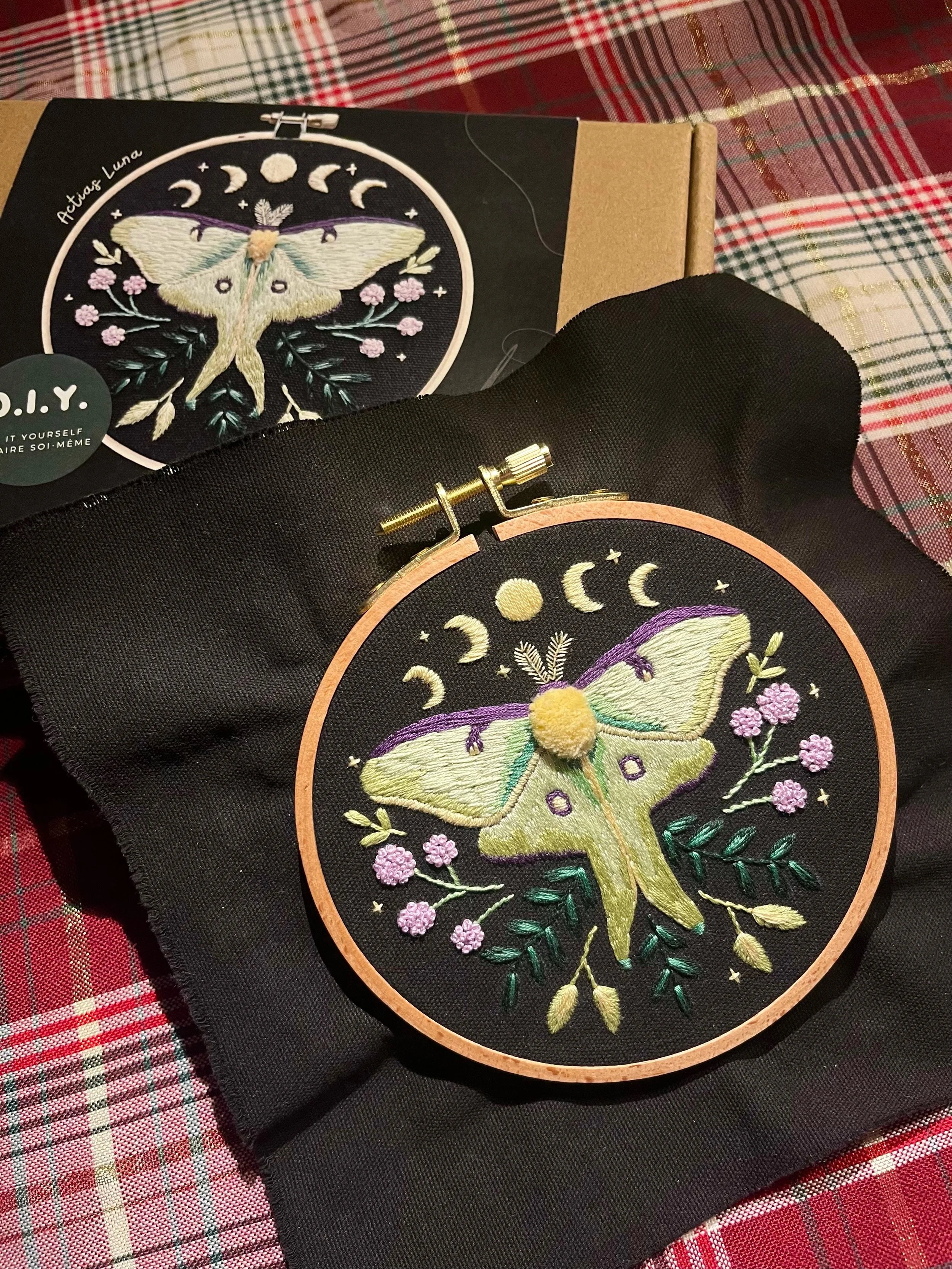 "Actias Luna" par Amélie N.