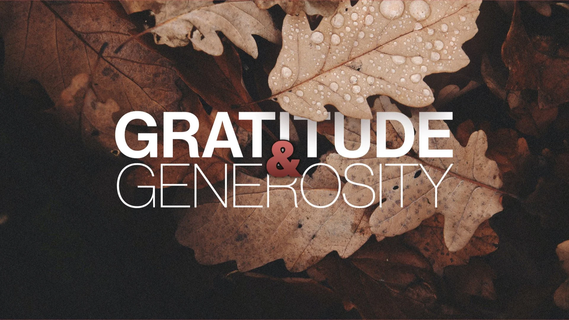 Gratitude and Generosity