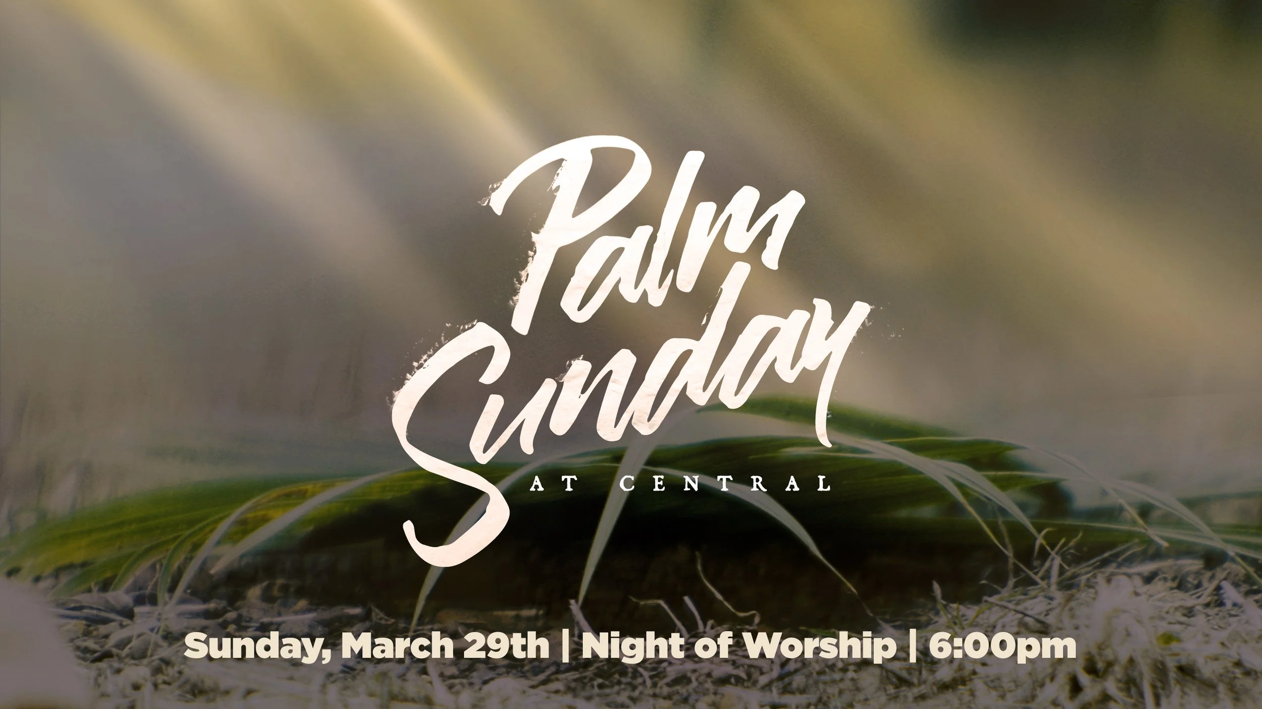 Palm Sunday | Night of Worship