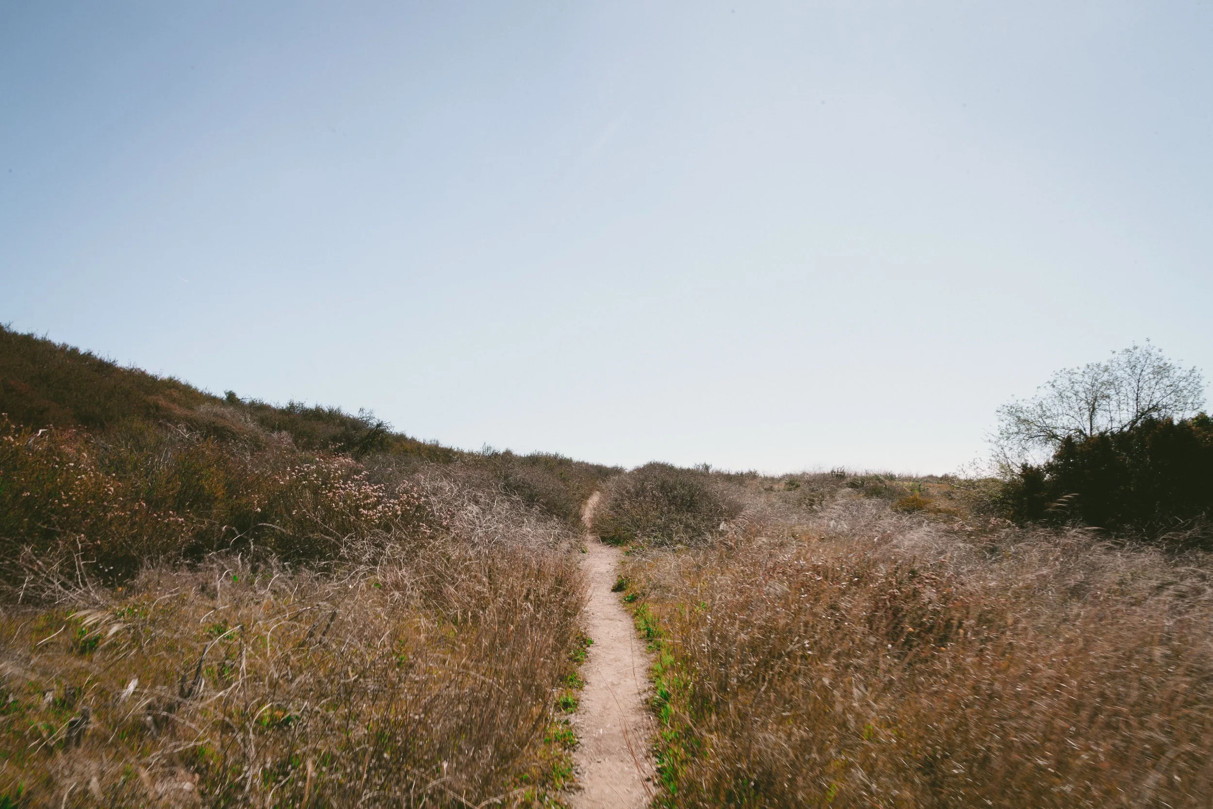 The Long Way 