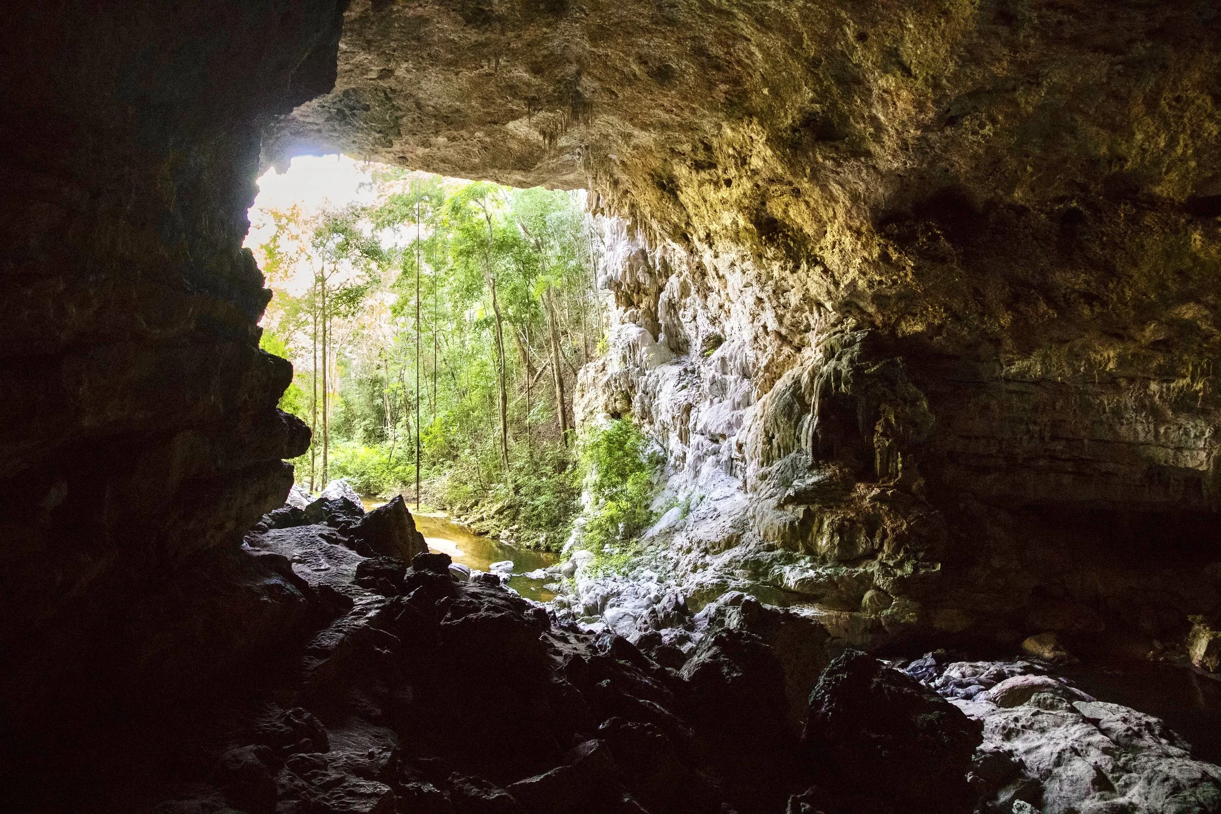 The Cave