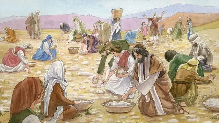 Resenting Manna