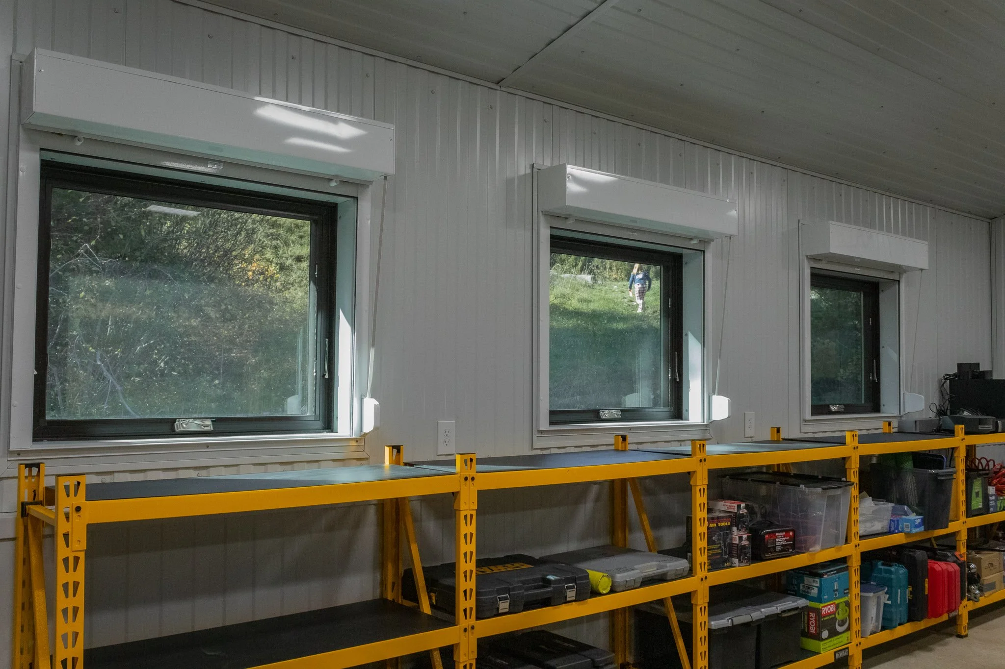 Security Windows with Cora in Background.jpg