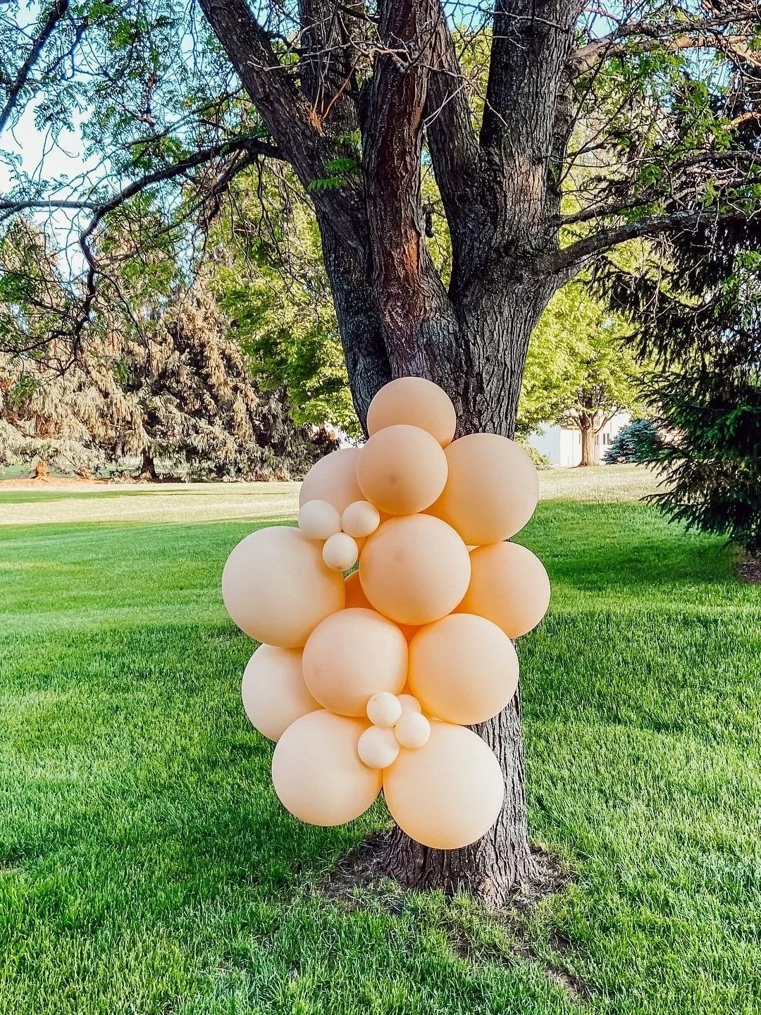 Graduation Party Cluster - Chicago, IL