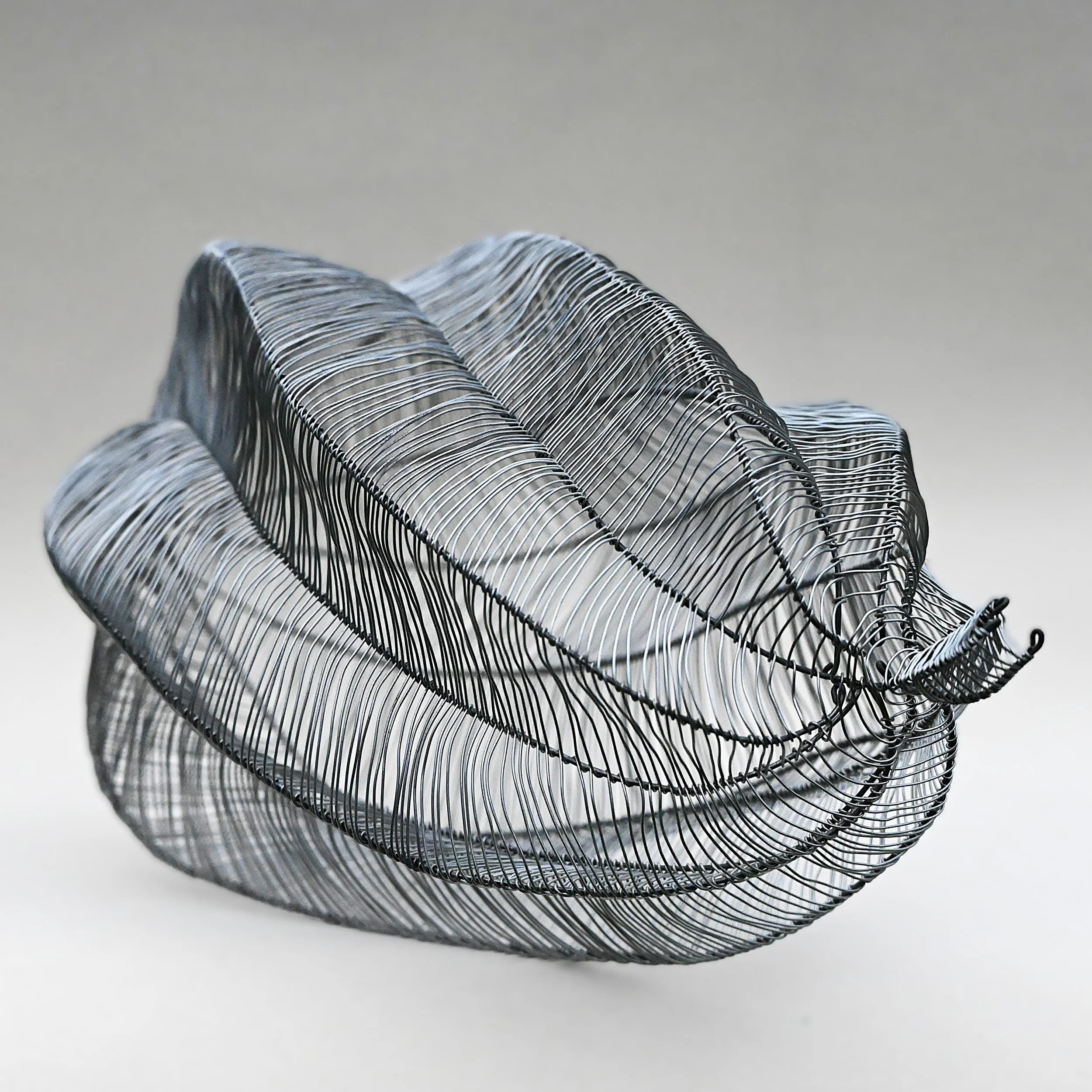 Drahtobjekt Maja Hochuli, majart.ch, Draht-Flecht-Kurse, Ateliermajart,
Draht-Kunst-Winterthur, Kunst-im-Garten, Schneckenhaus-aus-Draht, Draht-Korb