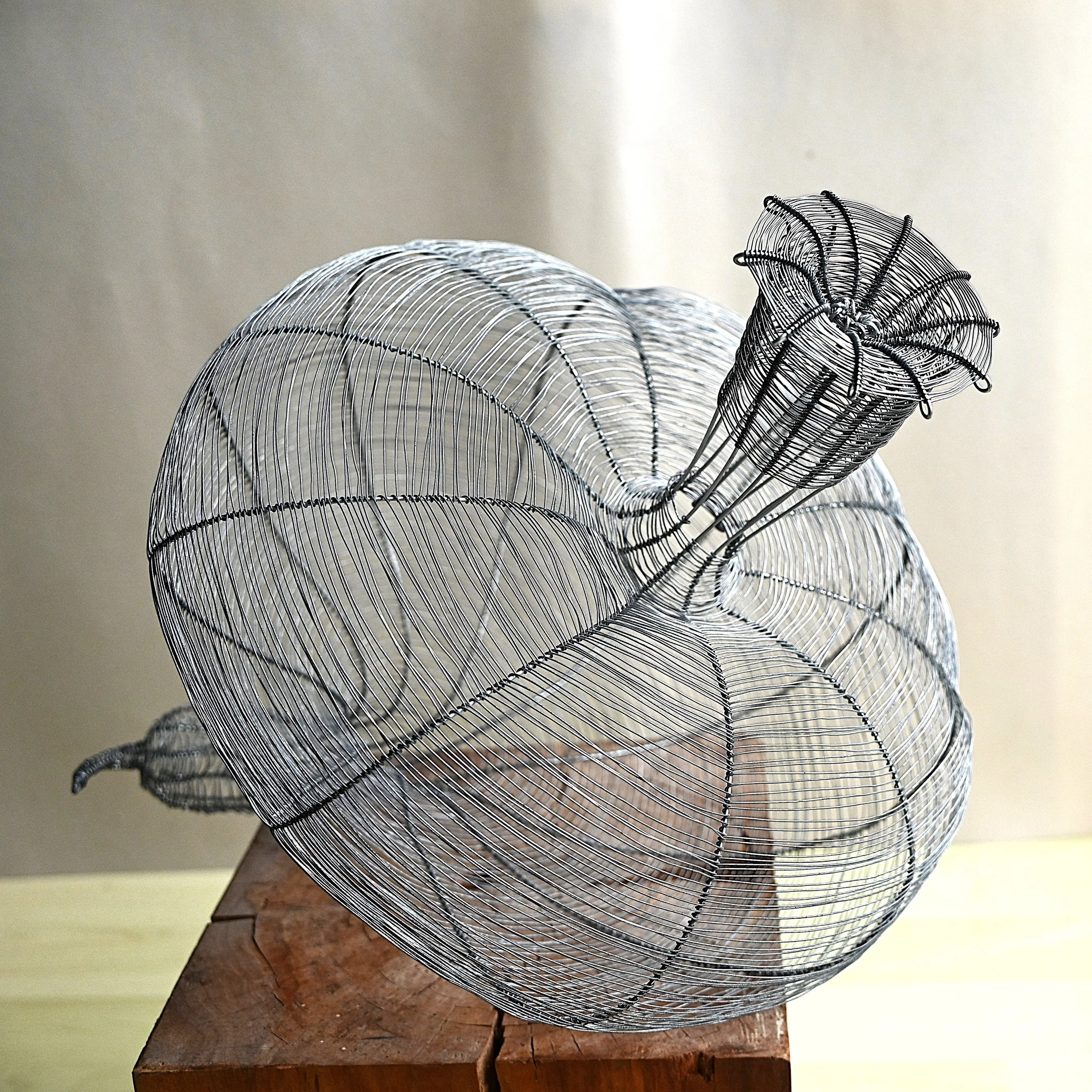 Drahtobjekt Maja Hochuli, majart.ch, Draht-Flecht-Kurse, Ateliermajart,
Draht-Kunst-Winterthur, Kunst-im-Garten, Schneckenhaus-aus-Draht, Draht-Korb