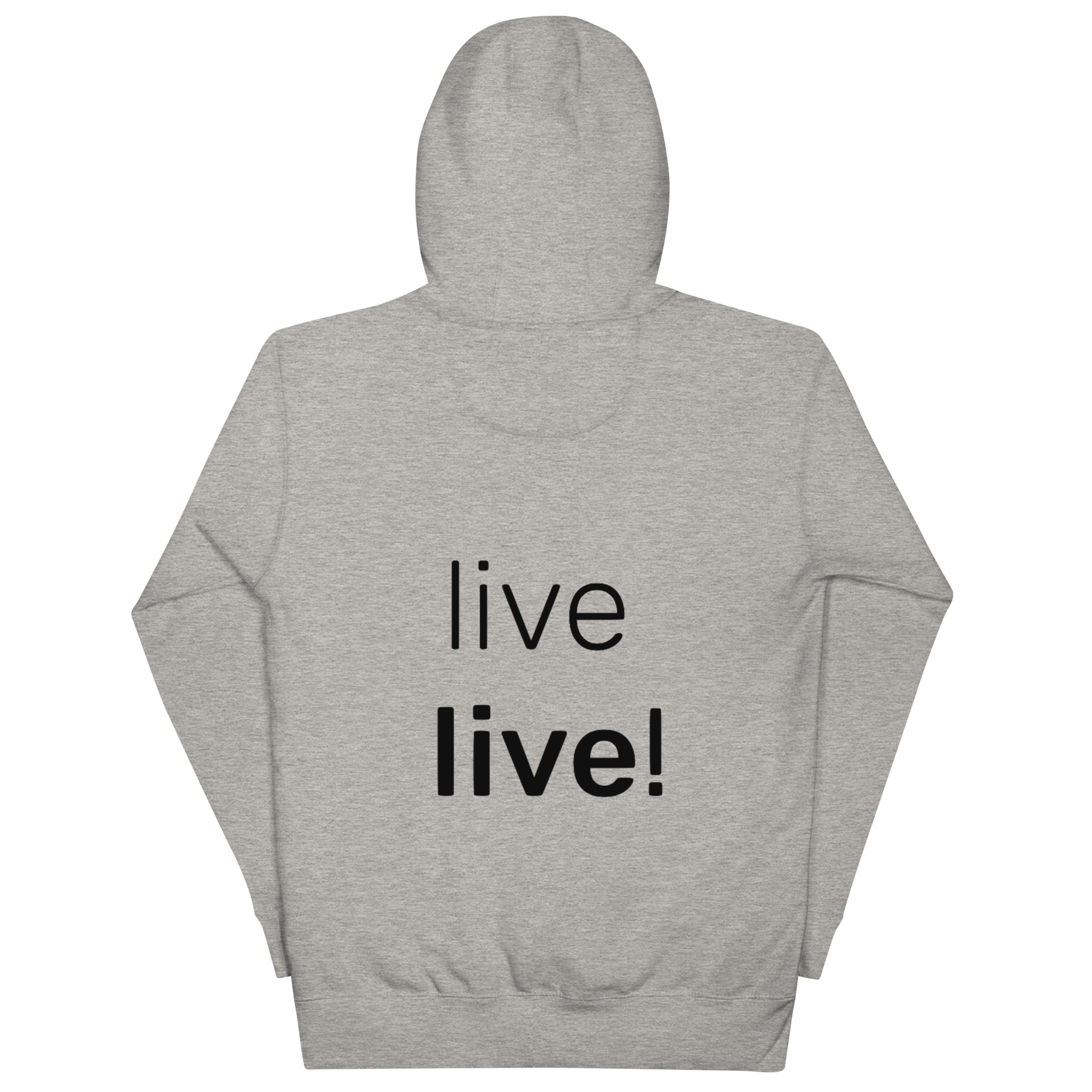 unisex-premium-hoodie-carbon-grey-back-6301049db679c.png