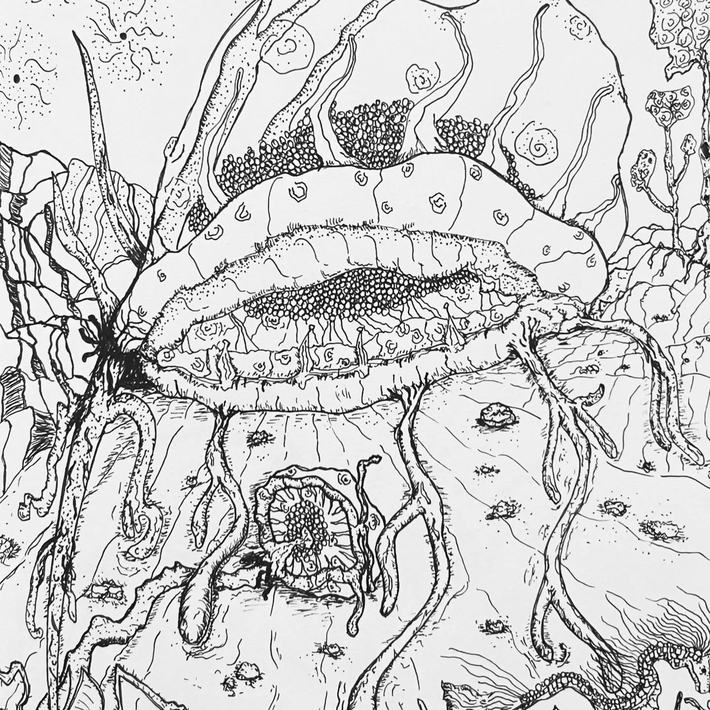 Some days we let the pen do the talking.
Micron on paper.