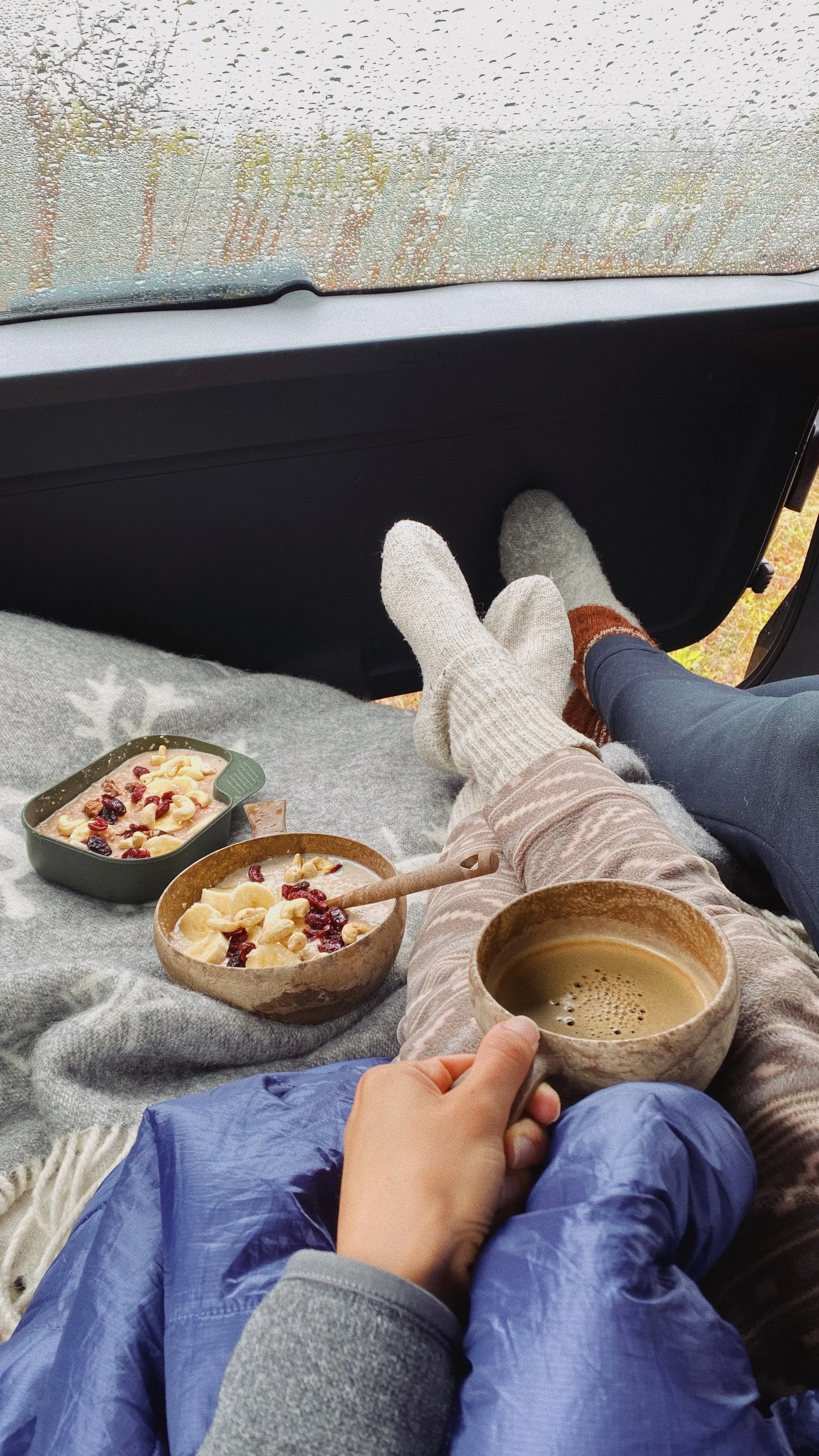 vegan and wild roadtrip lofootit