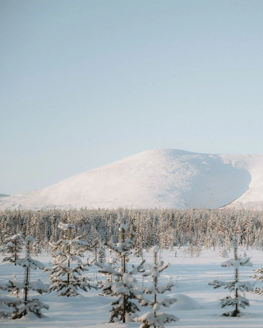 kuukausi Lapissa 🤍 (&amp; viikon m&ouml;kkimenu ja kauppalista)

📍Raattama

aamukahvit auringossa, k&auml;rryttelyt tuntureiden juurella, revontulien ihastelua m&ouml;kin ikkunasta, pastellin s&auml;vyj&auml; ja tiivist&auml; tunnelmaa er&auml;henk