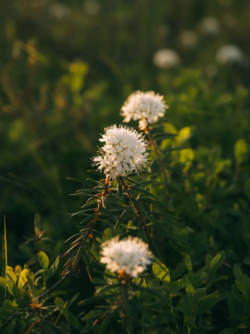 El&auml;m&auml; osaakin v&auml;lill&auml; olla niin surkeeta, joten miten ois yst&auml;v&auml;t &mdash; sanotaanko jatkossa ihan &auml;&auml;neen ett&auml; t&auml;&auml; on tosi hyv&auml; p&auml;iv&auml;? Miettim&auml;tt&auml; menneit&auml; ja stress