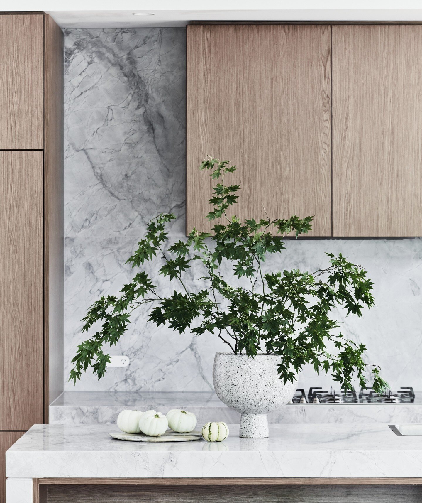 CLOSEUP// A beautiful detail of our Centennial Park kitchen captured by the lovely @maree.homerphotography...⁠
⁠
Styling @kerrieann_jones_stylist⁠
Architecture @zoephillipsresidential ⁠
.⁠
.⁠
.⁠
.⁠
.⁠
#residentialdesign#interiordesign #sydneydesigner