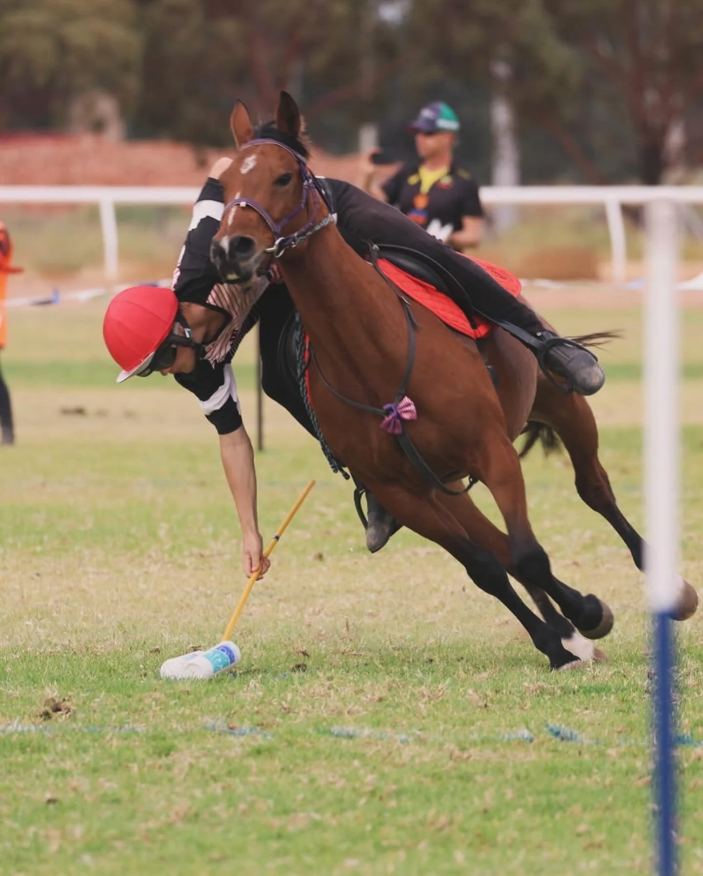 Harrison_Brennan_Mounted_Games