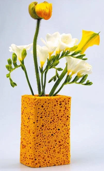 Vase éponge
