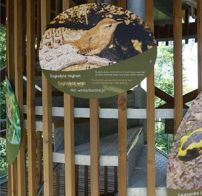 ObservatoireManginWEB7.jpg
