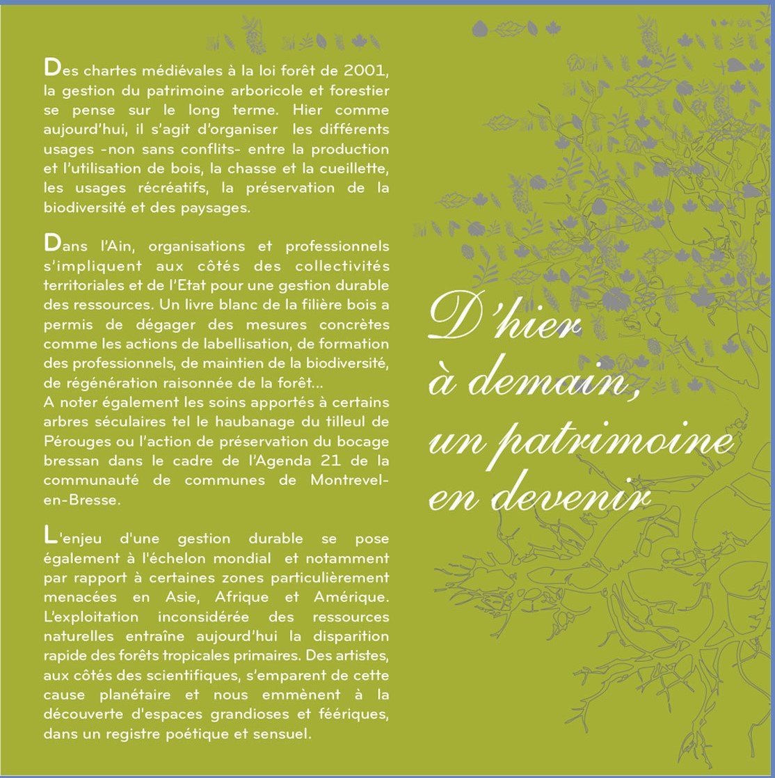Nos-arbresgraphismeWEB2.jpg