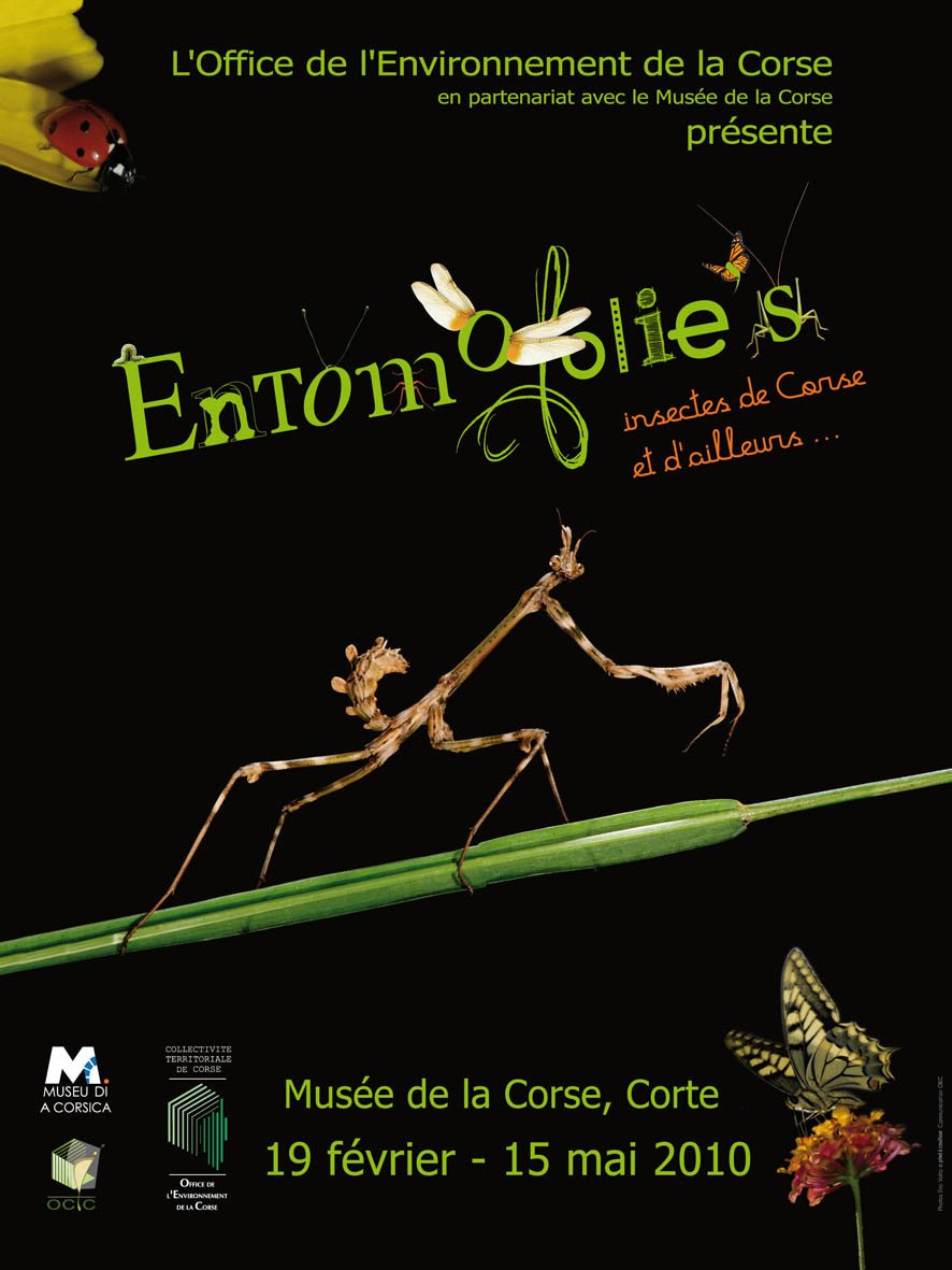 Affiche Entomofolies.jpg