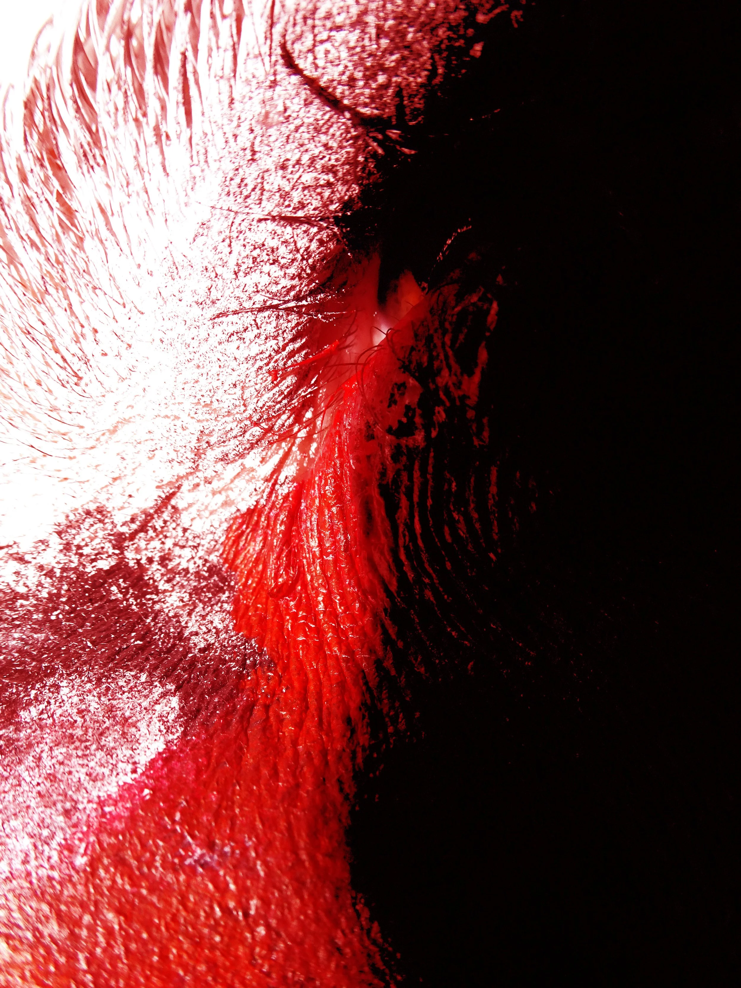 Familiar Peculiar 3 red.jpg