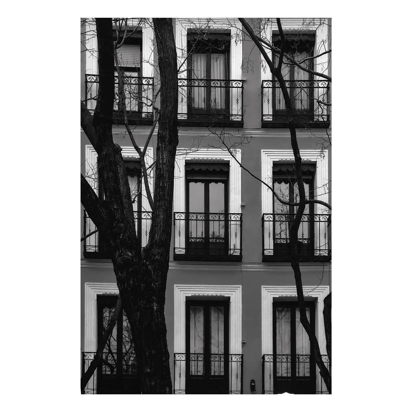 The regular array of apartment windows on the Plaza de Olavide in Madrid is broken in view only by the trees.  As the photograph was taken in February, the trees, a feature of the planted communal parkland in this public square are leafless, the dark