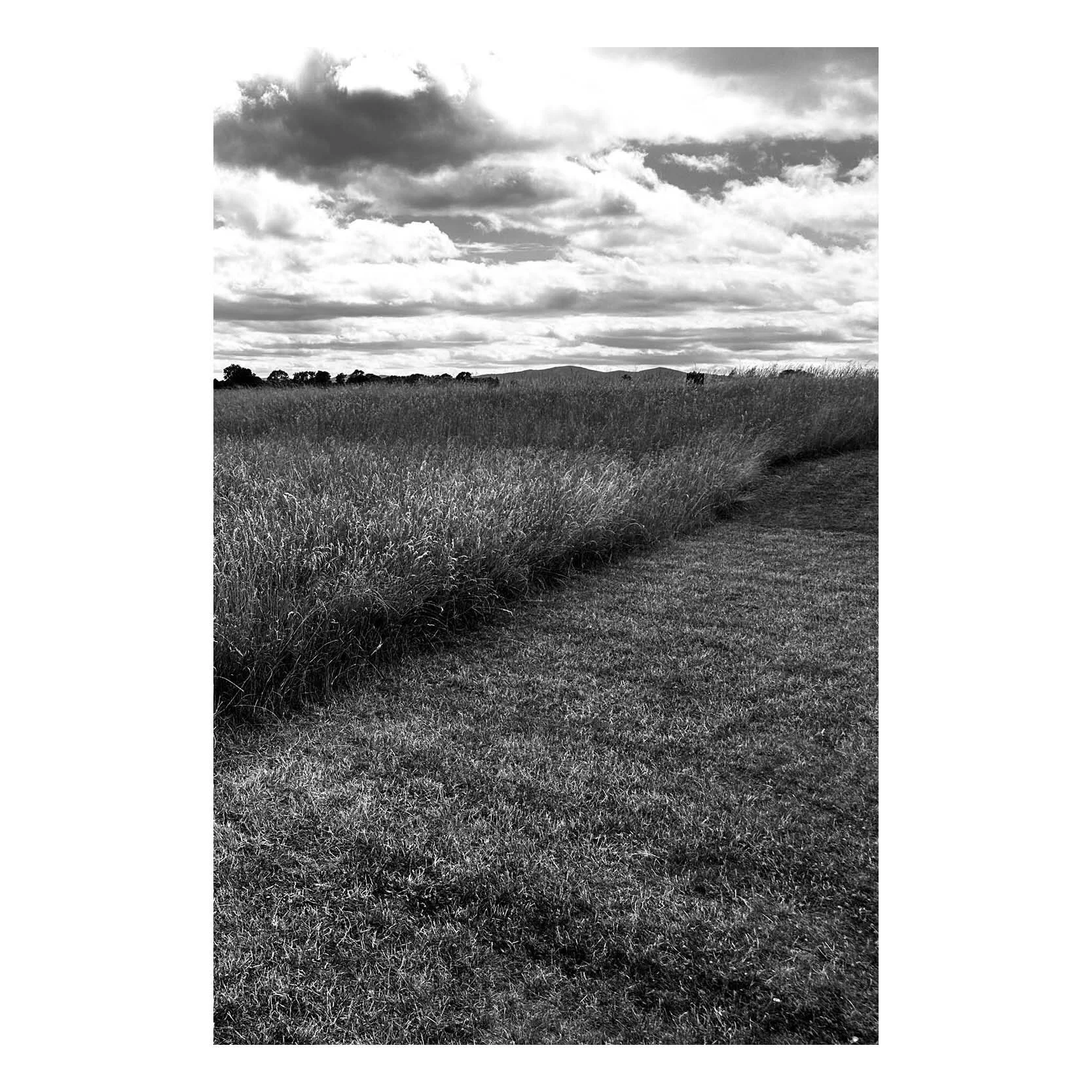 2026. Stoulton, Worcestershire.