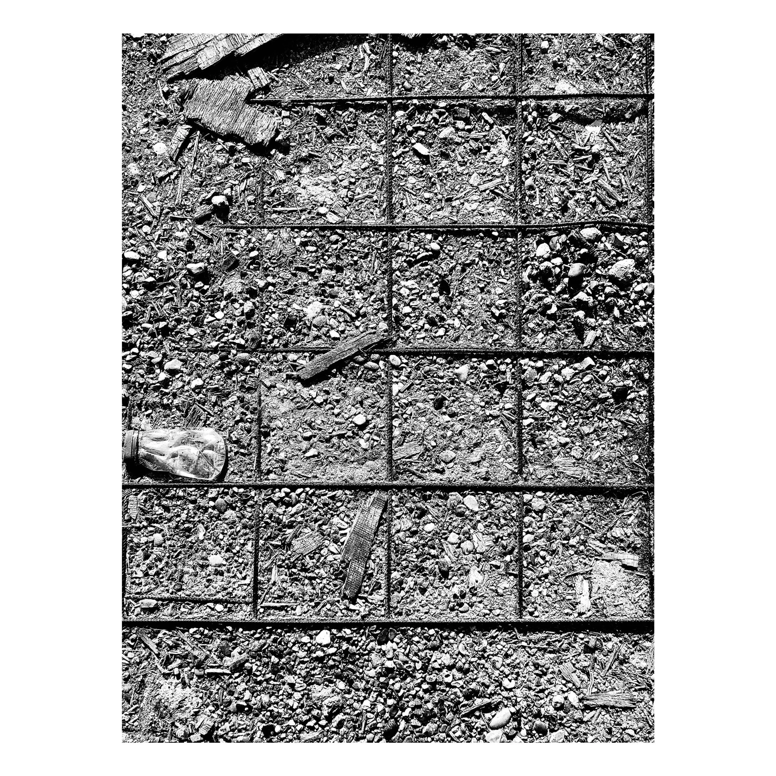 2018.  Exposed Reinforcing Steel Bars, Hutton, Essex.