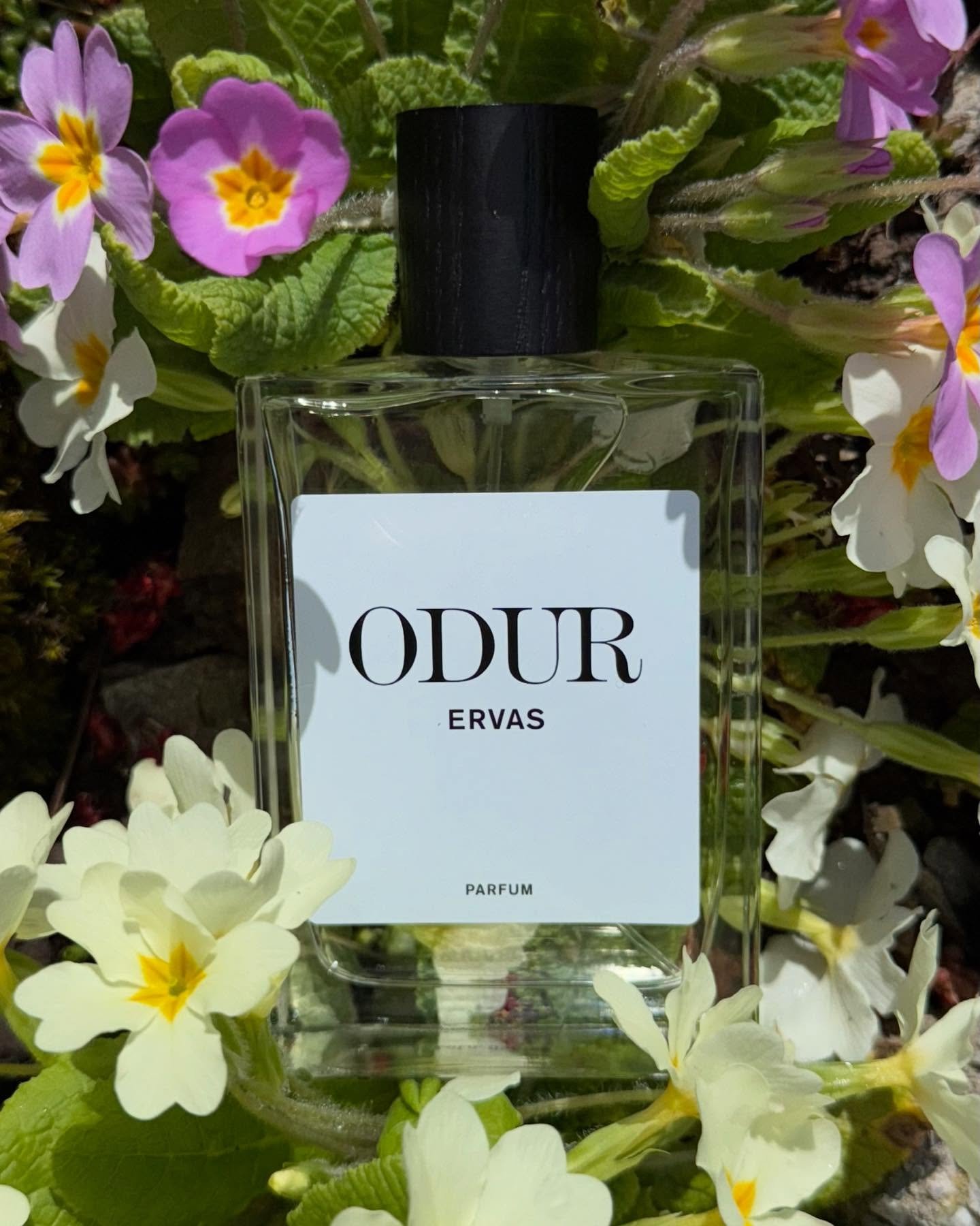 Spring is here, the time change is just around the corner, do you also want to change your fragrance to your current mood and the new season?

#odur #ervas #dontsmellmainstream #nicheperfumes #soriechtgraub&uuml;nden #soriechtderfr&uuml;hling