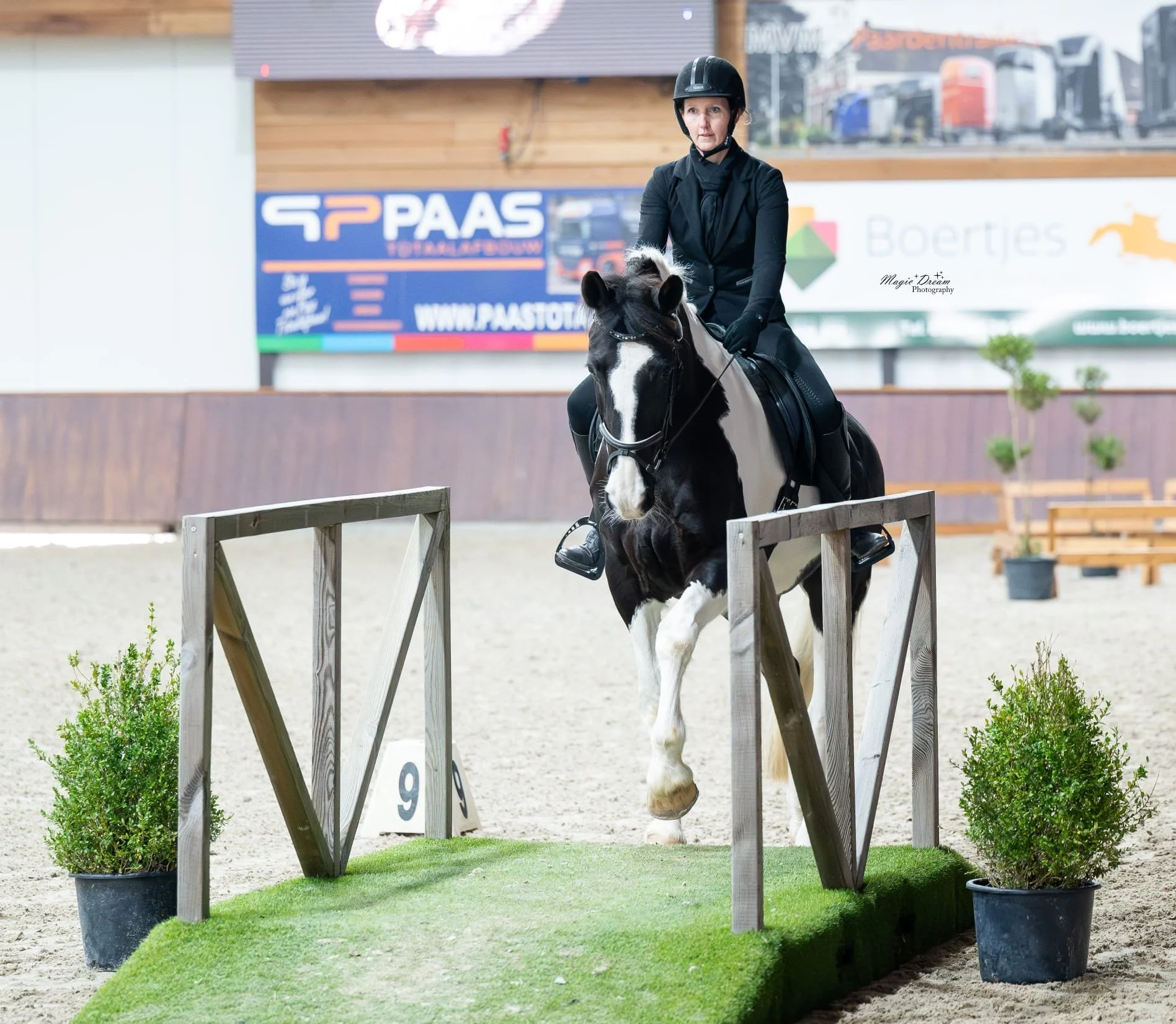 Working Equitation Holland Wedstrijd