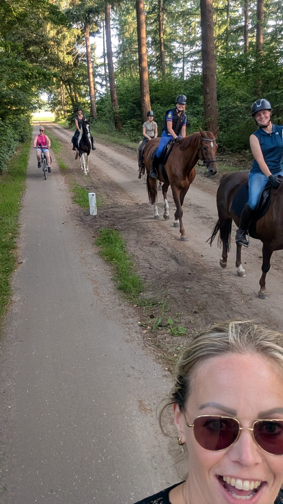 Pony/Paardenkamp