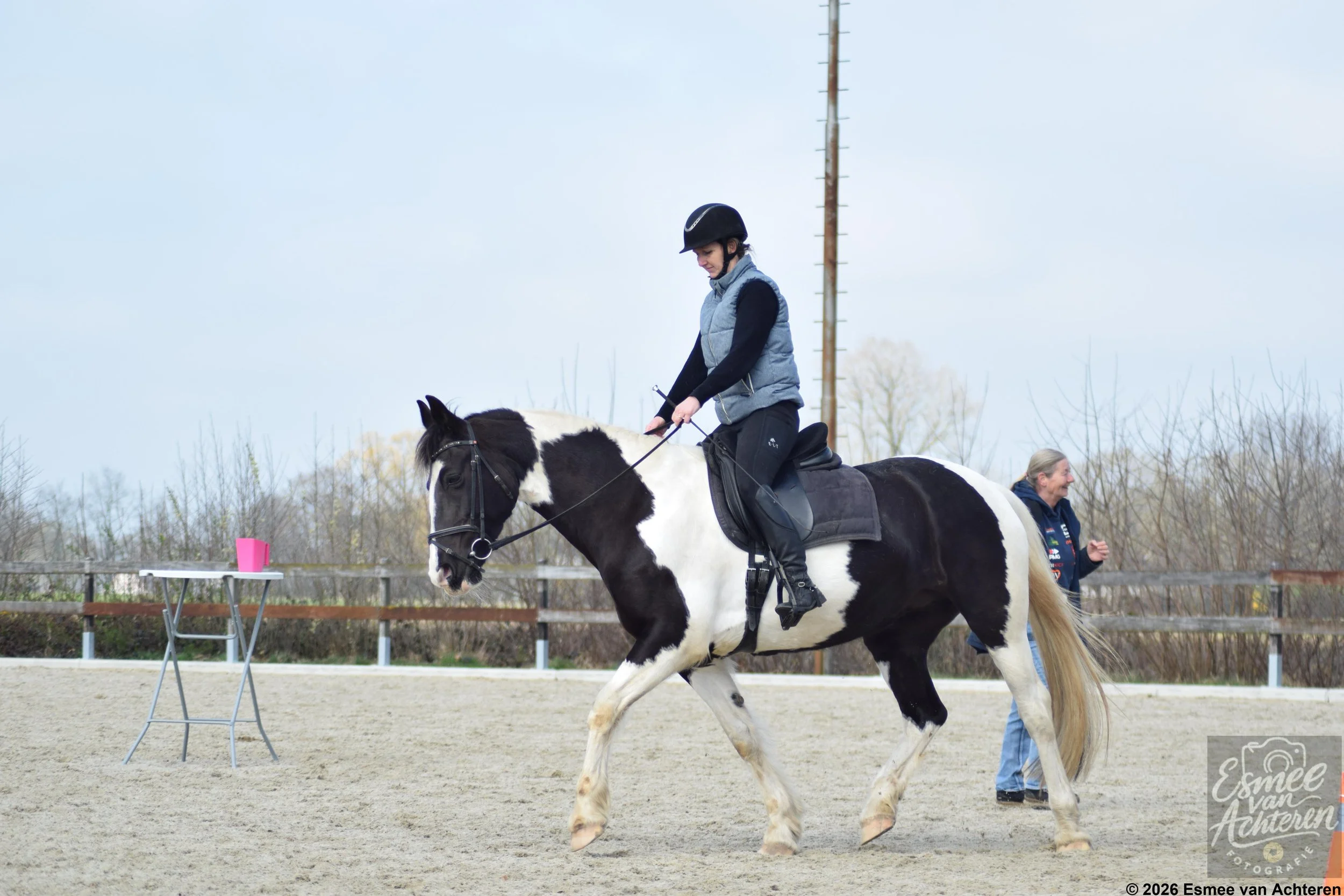EvAchteren_paard_20260401-224241115.jpg