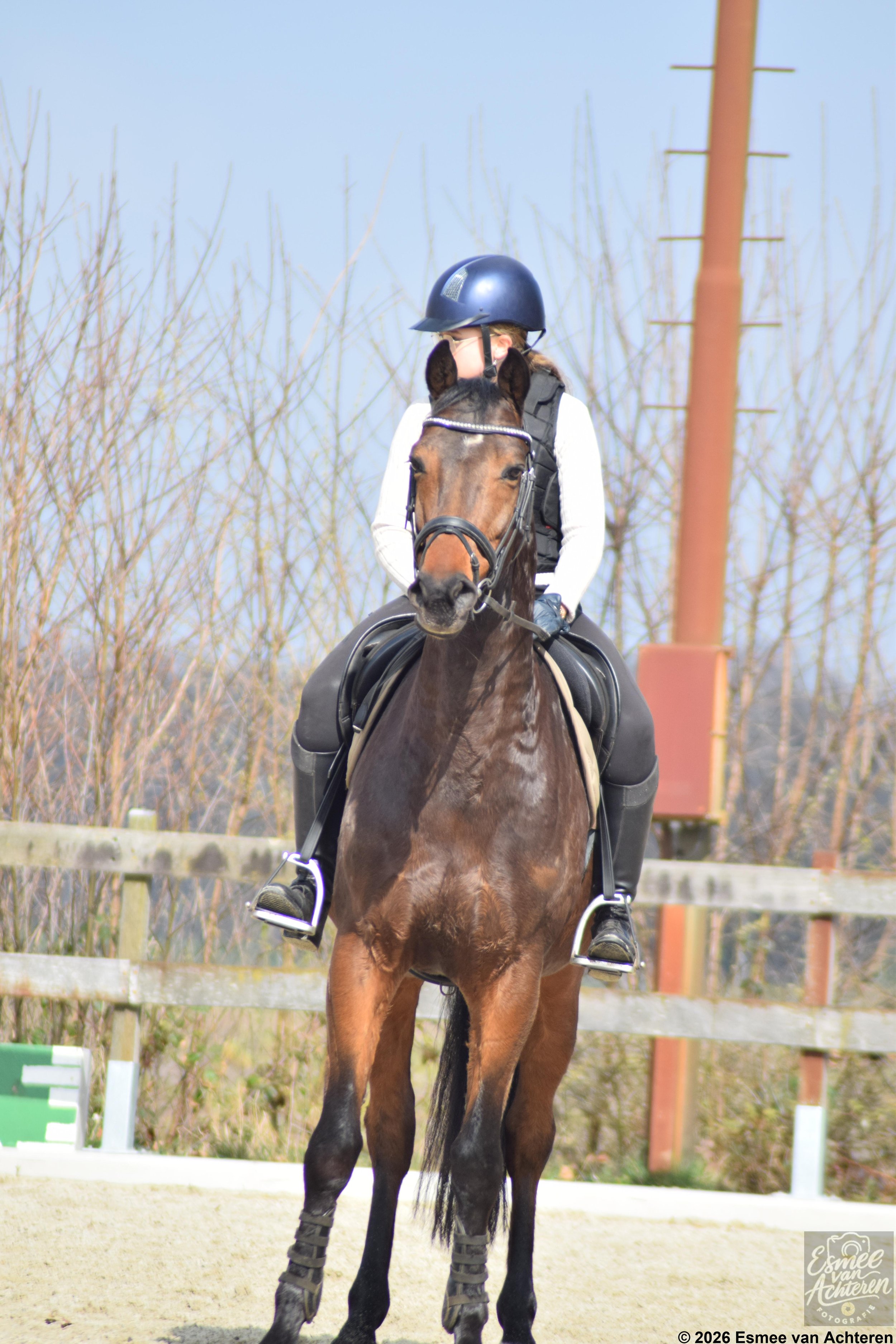 EvAchteren_paard_20260401-224227260.jpg