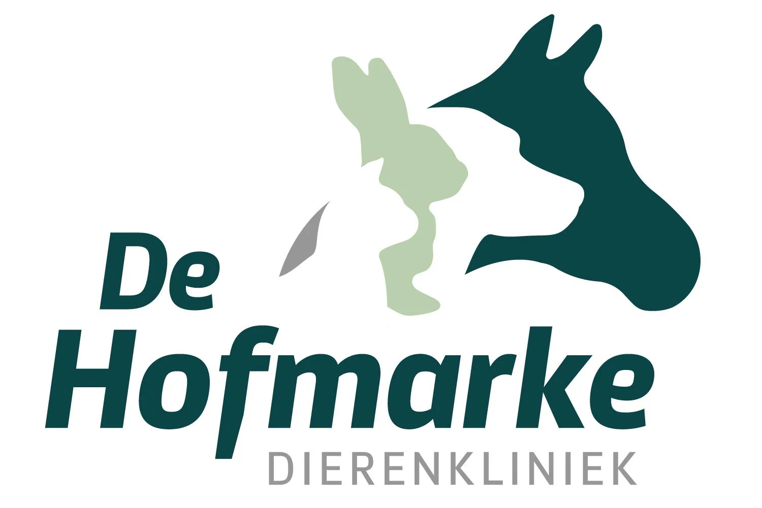 dierenkliniek de Hofmarke.jpg