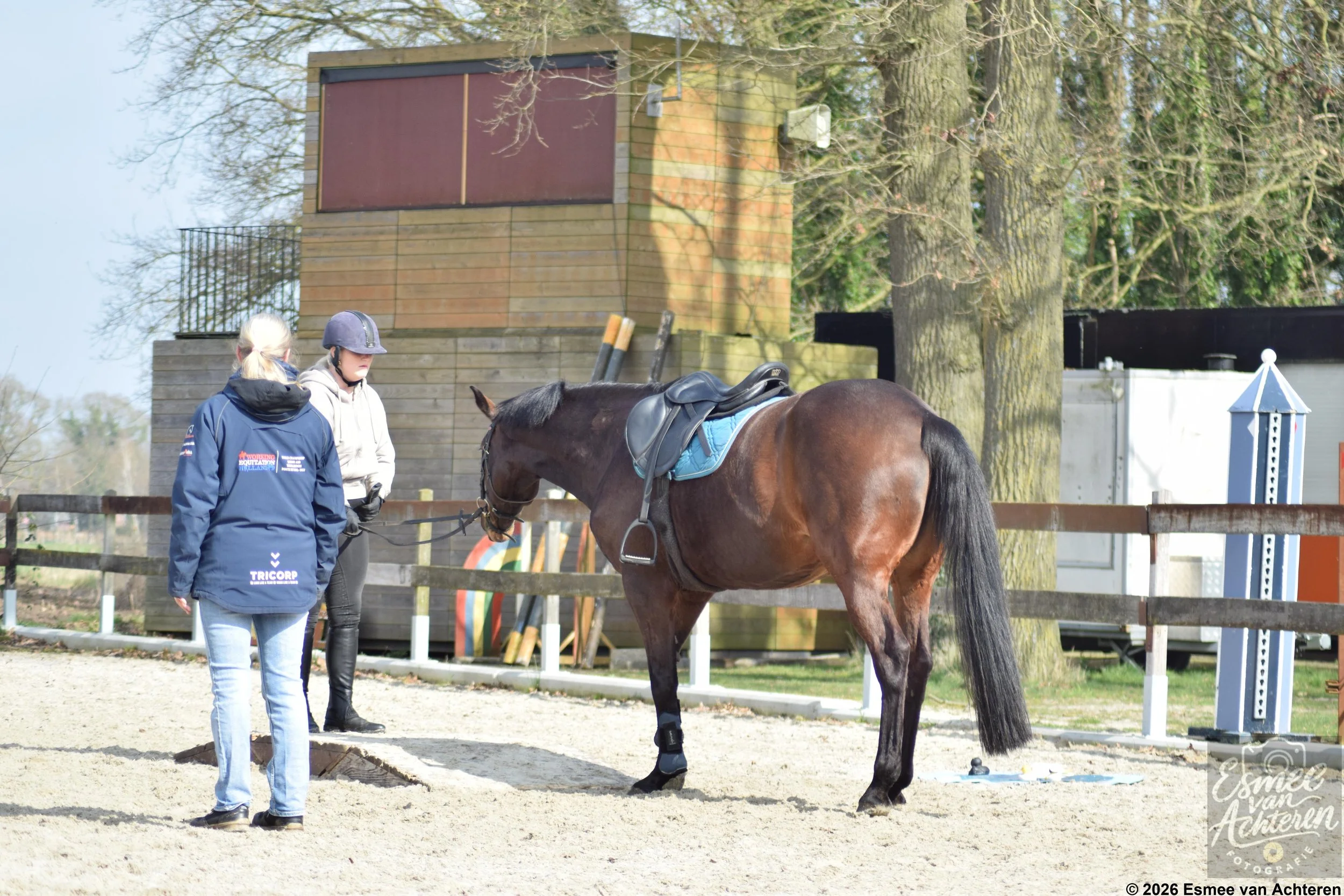 EvAchteren_paard_20260401-224229400.jpg