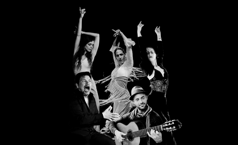 Tablao Flamenco & GV - LaDina Tanzstudio