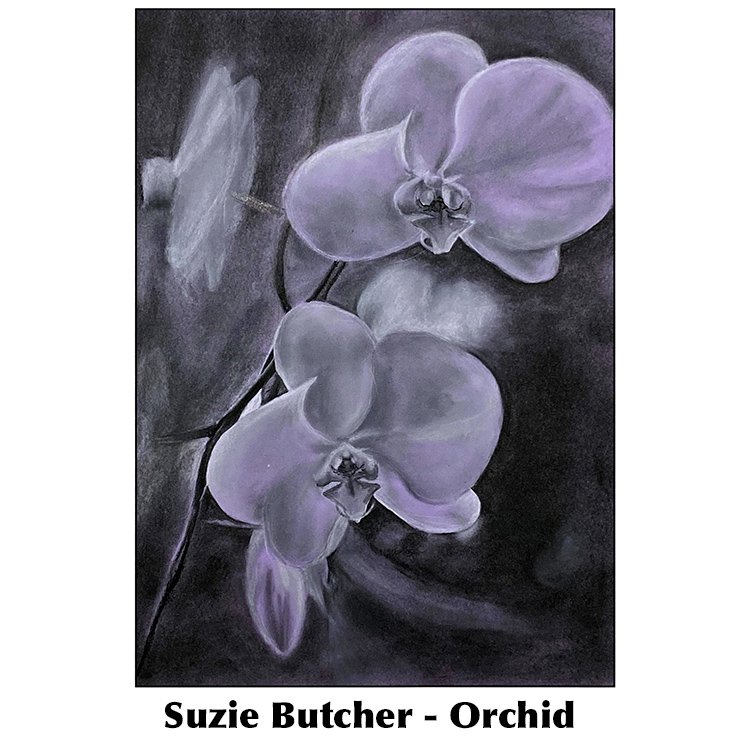 Suzie Butcher-Orchid 2022.jpg
