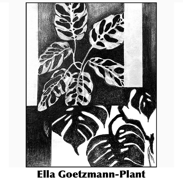 Ella Goetzmann-Negative Space.jpg