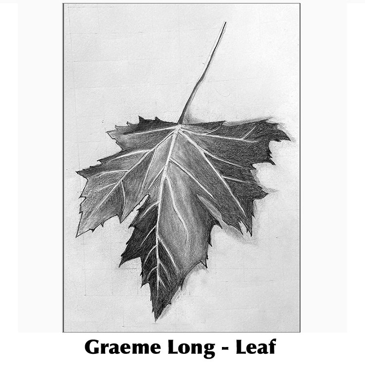 Graeme Long - Leaf 2022.jpg
