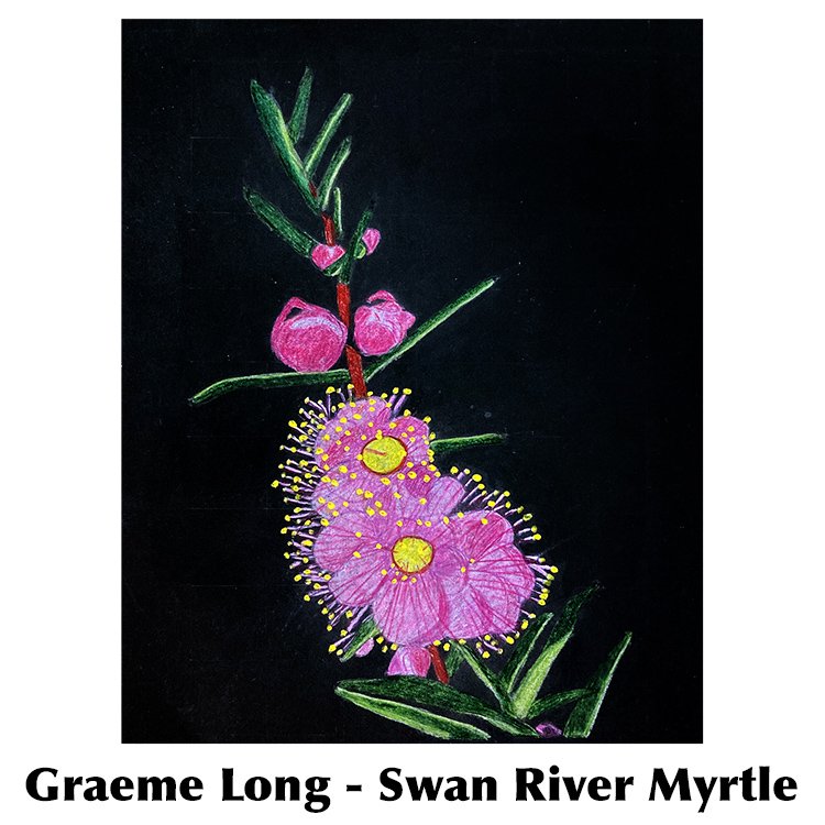 Graeme Long-Swan River Myrtle.jpg