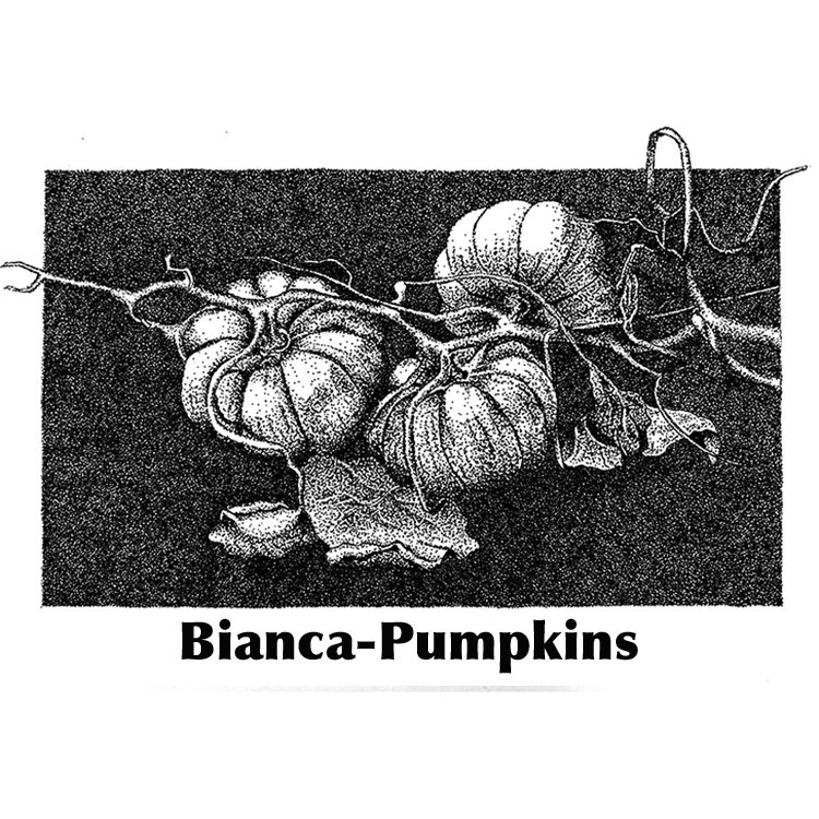 Bianca Cheong-Pumpkins.jpg