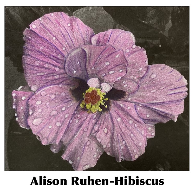 Alison Ruhen-Hibiscus.jpg