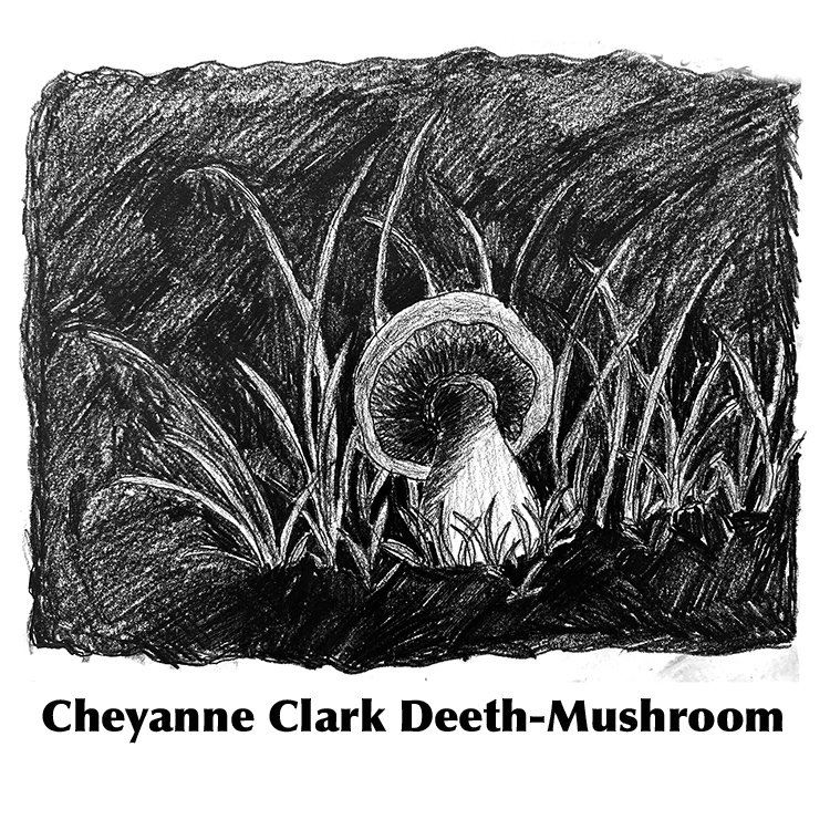 Cheyanne Clark Deeth-Mushroom 2023.jpg