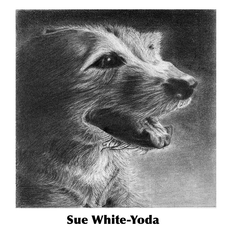Sue White-Yoda.jpg