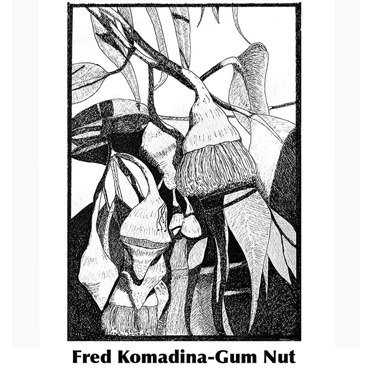 Fred Komadina-Gum Nut Nov 2022.jpg