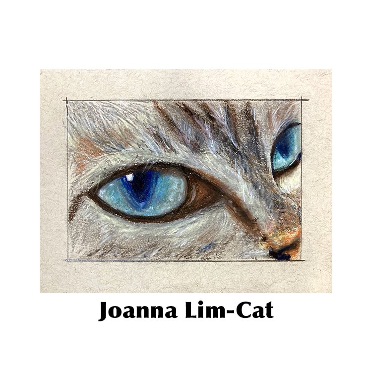 Joanna Lim-Cat.jpg