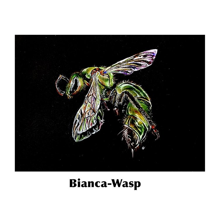 Bianca Cheong-Wasp.jpg