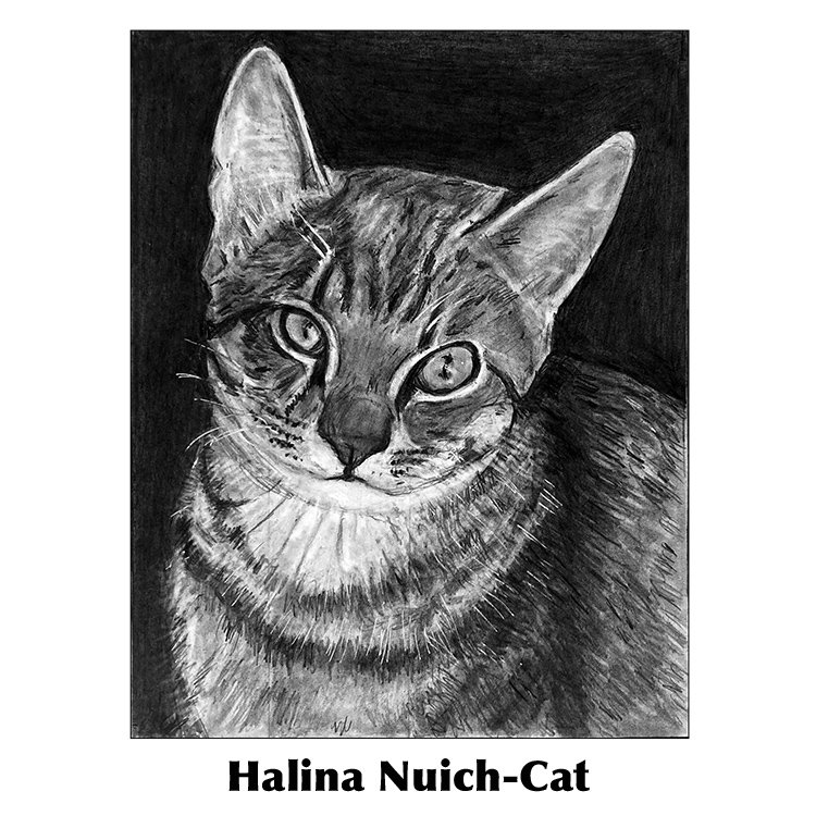 Halina Nuich-Cat.jpg