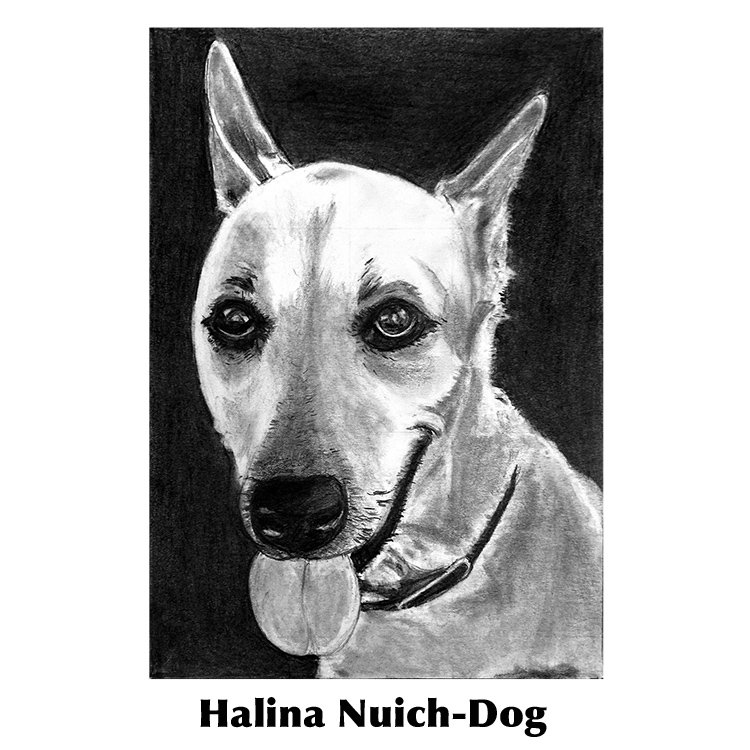 Halina Nuich-Dog.jpg