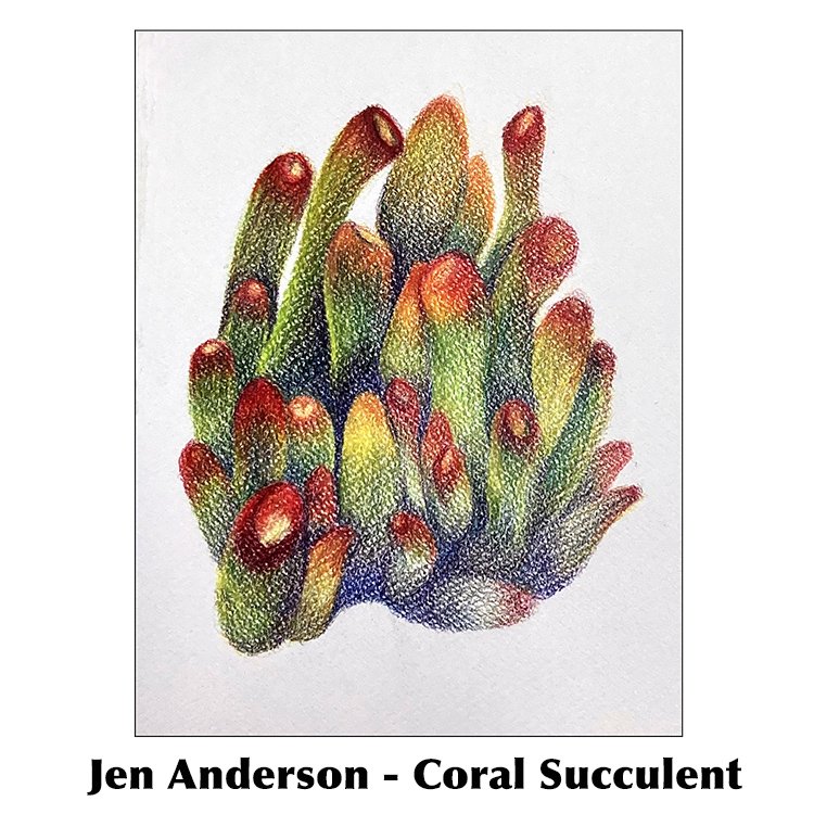 Jen Anderson-Coral Succulent.jpg