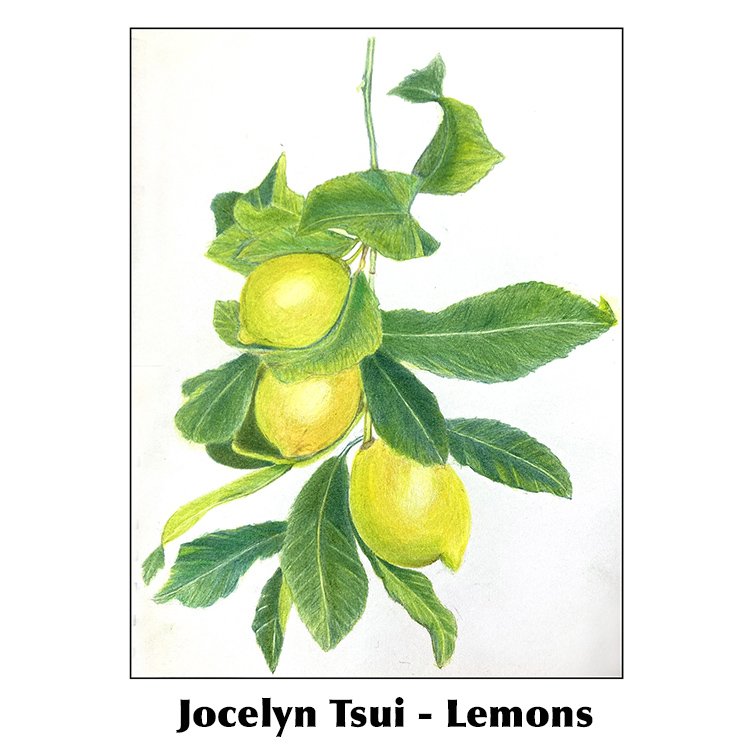 Jocelyn Tsui-Lemons.jpg