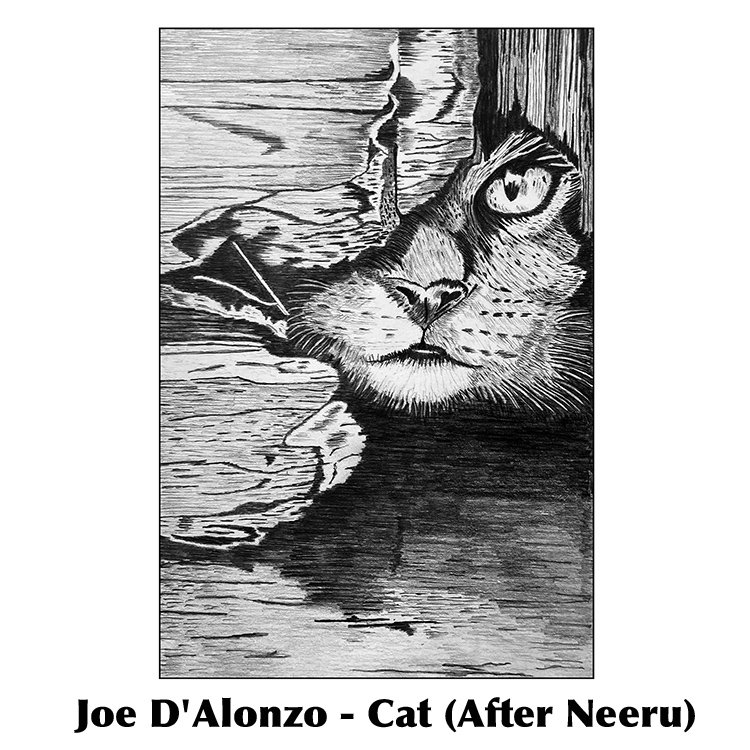 Joe D'Alonzo-Cat (After Neeru).jpg