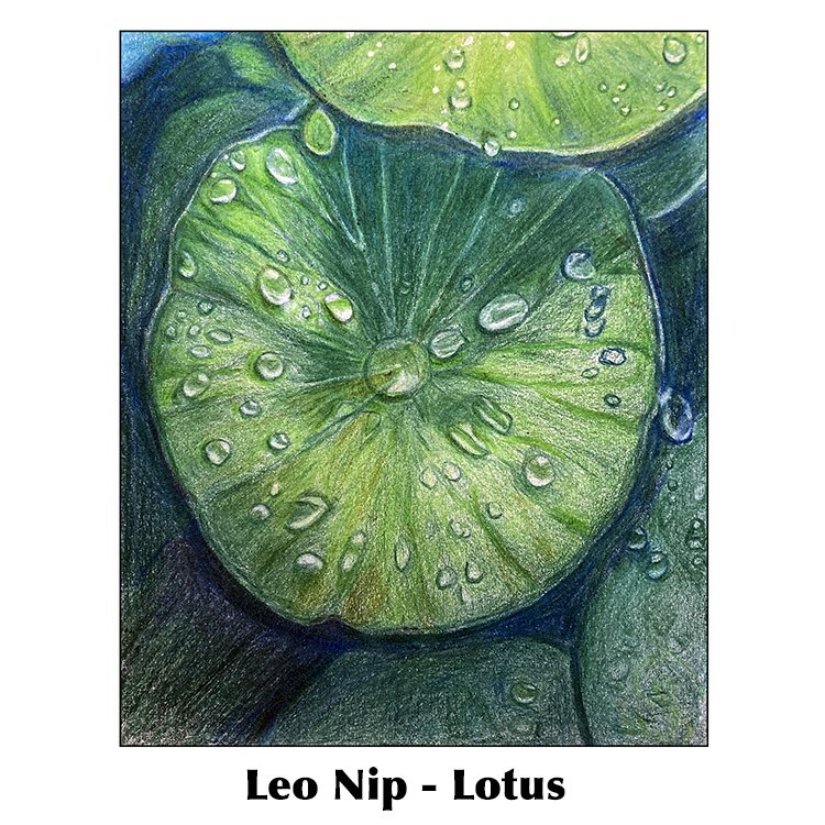 Leo Nip-Lotus.jpg